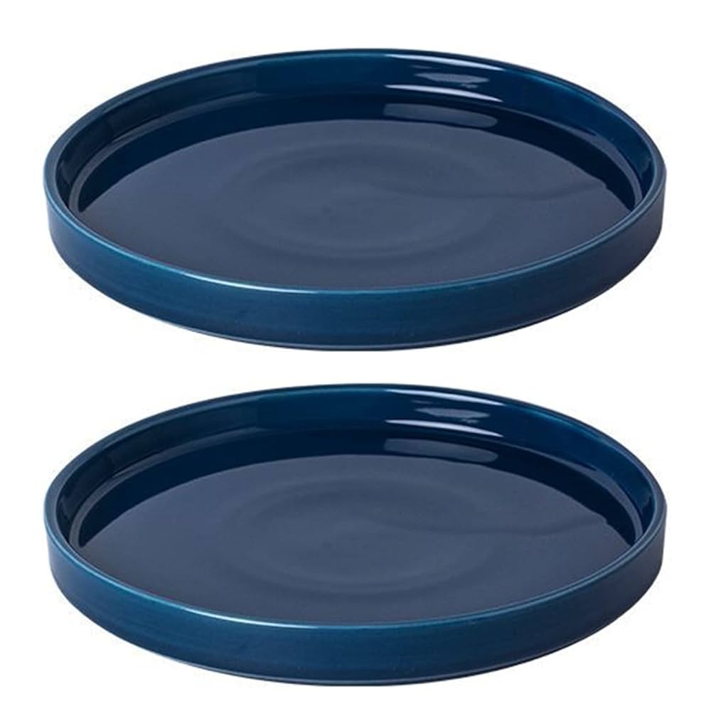 小物 AFRD 02 TRAY CERAMIC BLUE 25206XTD-AC02 AFRD 02 / TRAY / CERAMIC / BLUE (25206XTD-AC02) | セレクト